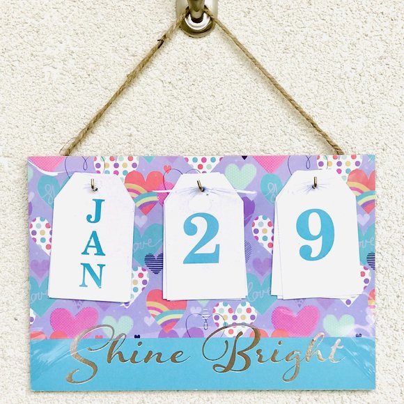 Other - 🍍5/$25 Shine Bright Heart Perpetual Wall Calendar